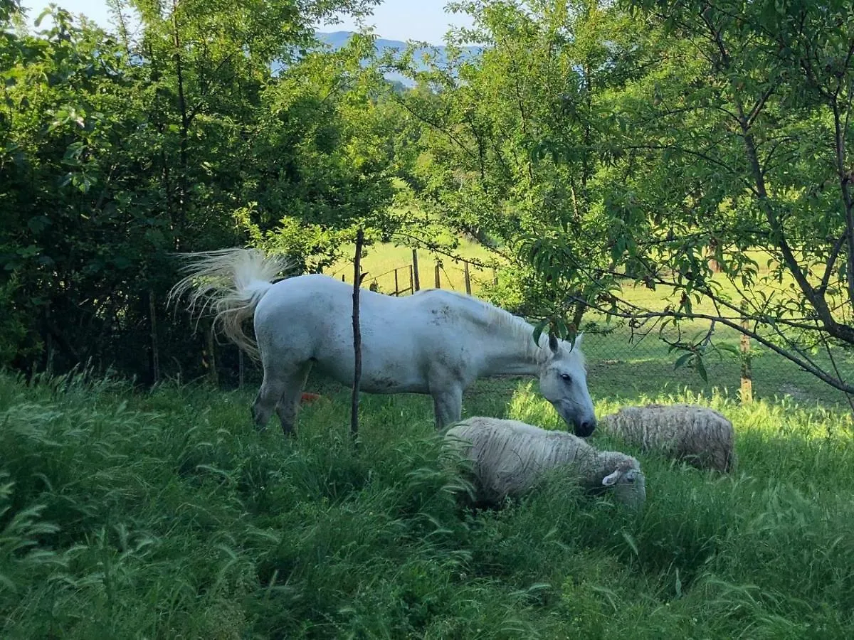 Ala di Maniero in Toscana, nel Mugello sulle Colline di Firenze Borgo San Lorenzo Casa di campagna
